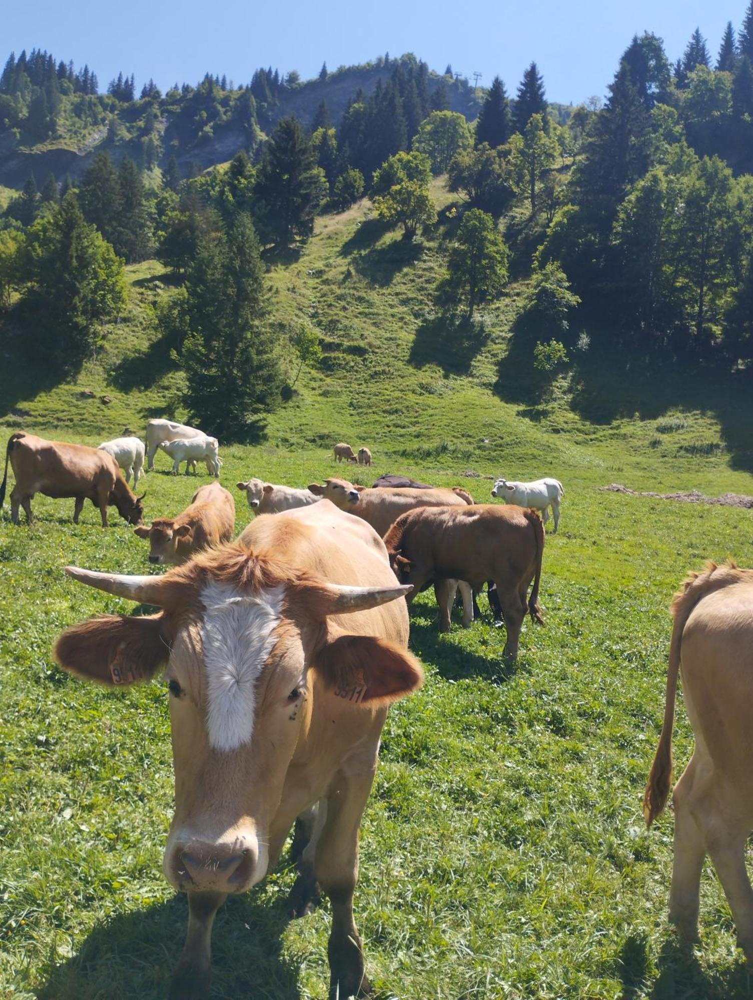 Le Gite Du Val Flumet Exterior foto